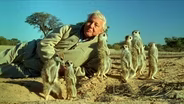 Attenborough's Life Stories: Part 2 Preview