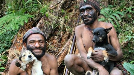 Video thumbnail: Nature Dogs That Changed the World: The Rise of the Dog