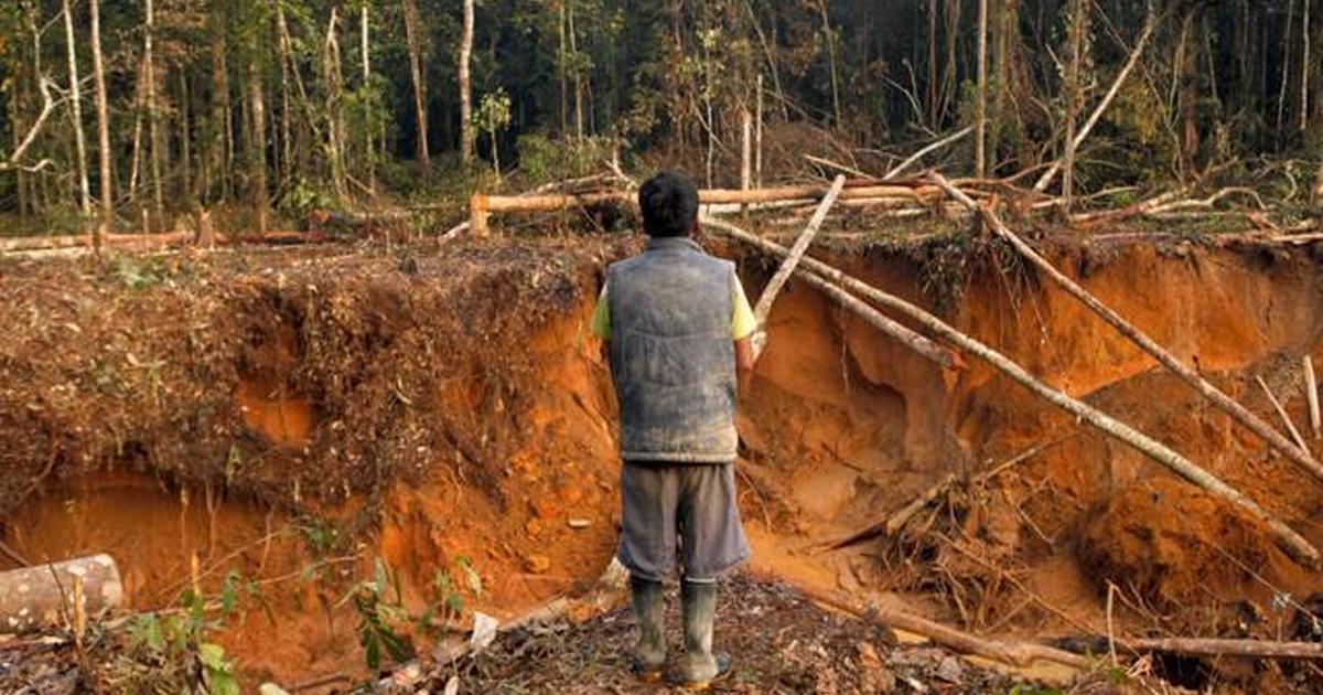 Need To Know | Illegal gold mining in the Amazon | Season 1