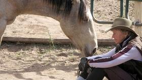 Video thumbnail: Need To Know Wild horses