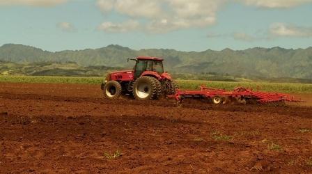 Video thumbnail: PBS NewsHour GMO seeds grow into big fight on Kauai