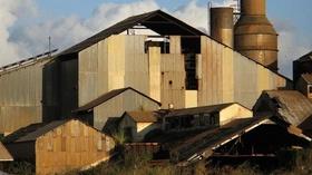 Video thumbnail: PBS NewsHour Paradise found: Hawaiian agriculture from sugar to seeds