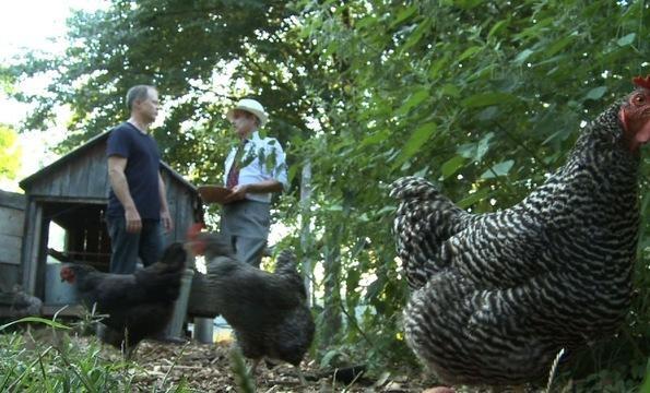 Why a conservative economist moved to the country