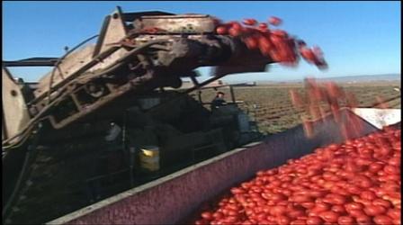 Video thumbnail: PBS NewsHour California's drought could mean bad news at grocery stores