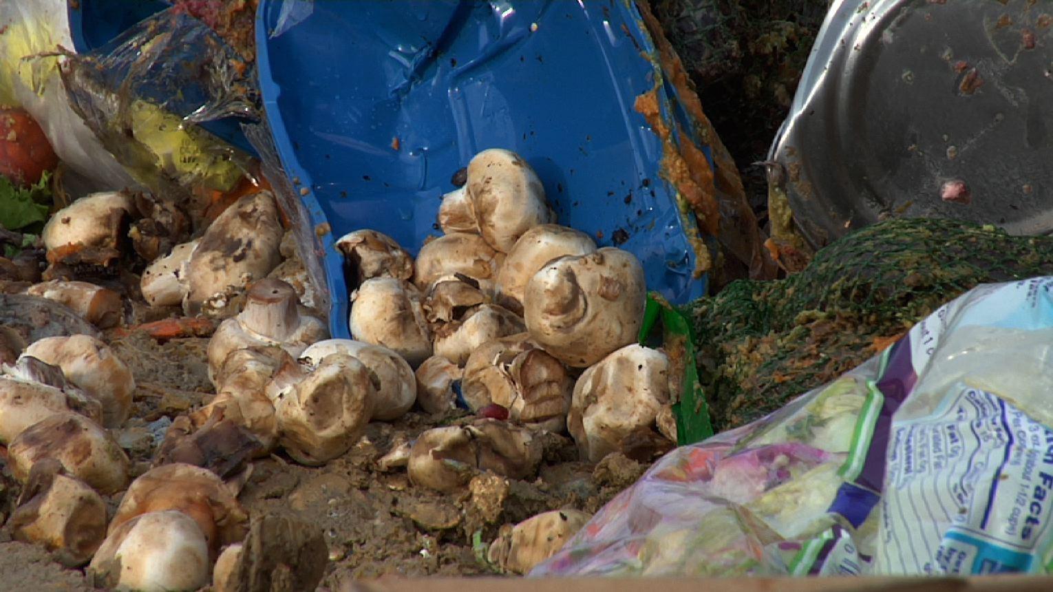 Stopping food waste in America