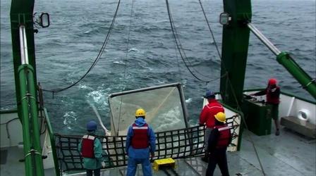Video thumbnail: PBS NewsHour Fishing for data in the radioactive waters off Fukushima