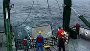 Fishing for data in the radioactive waters off Fukushima