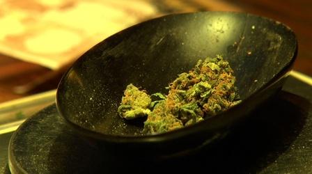 Video thumbnail: PBS NewsHour What can the Dutch teach the U.S. about selling pot?