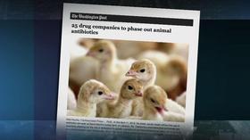 Video thumbnail: PBS NewsHour Drug makers agree to curb antibiotic use for farm animals