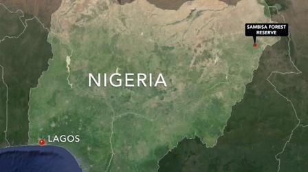 Video thumbnail: PBS NewsHour Kidnapped Nigerian schoolgirls face serious risks