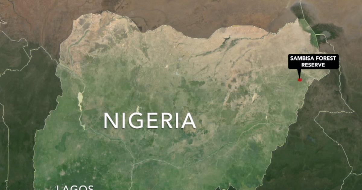 PBS NewsHour | Kidnapped Nigerian schoolgirls face serious risks | Season 2014