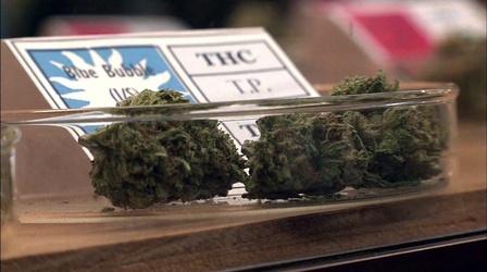 Video thumbnail: PBS NewsHour High hopes for a budding cannabis industry