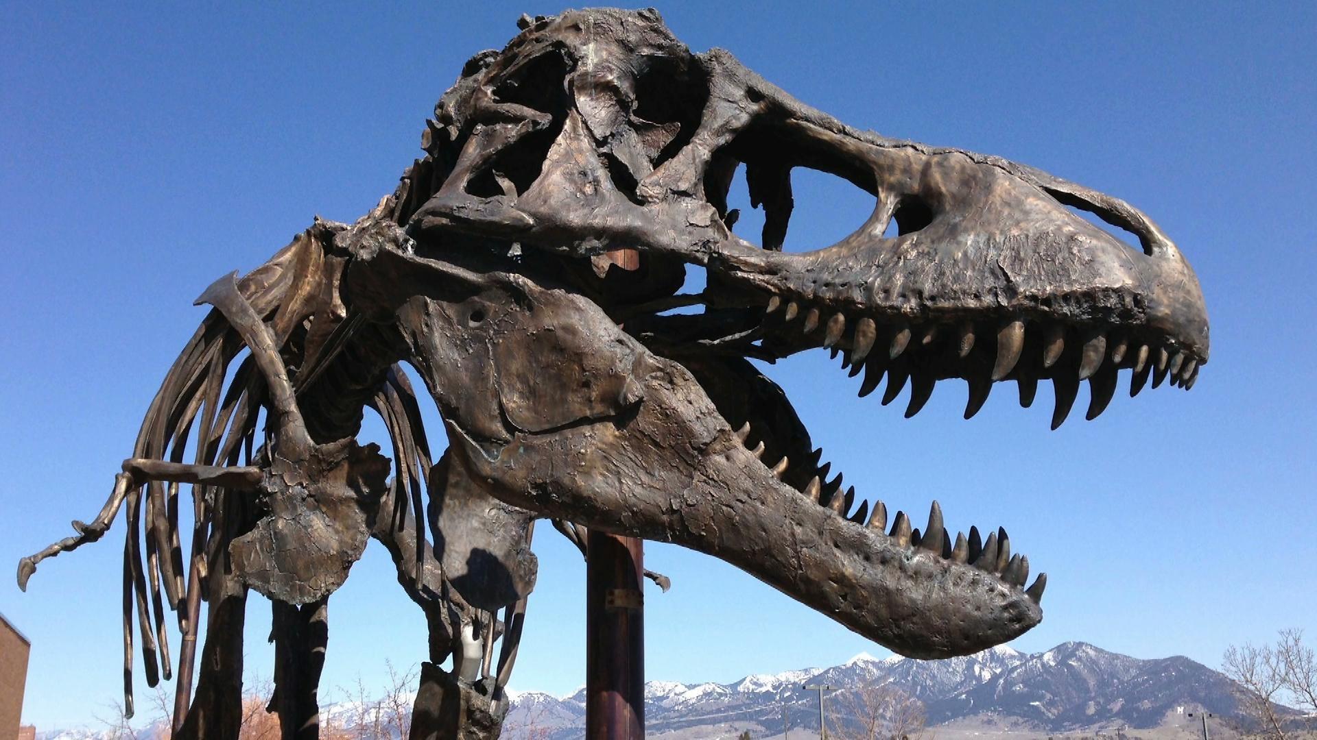 How to 3-D print a dinosaur