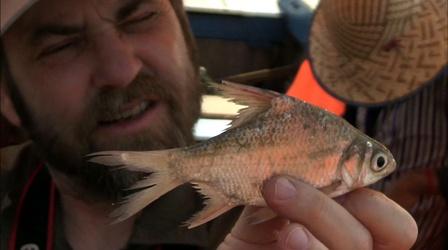 Video thumbnail: PBS NewsHour Vibrant Cambodian lake may face less-fishy future