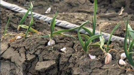 Video thumbnail: PBS NewsHour California imposes mandatory water restrictions