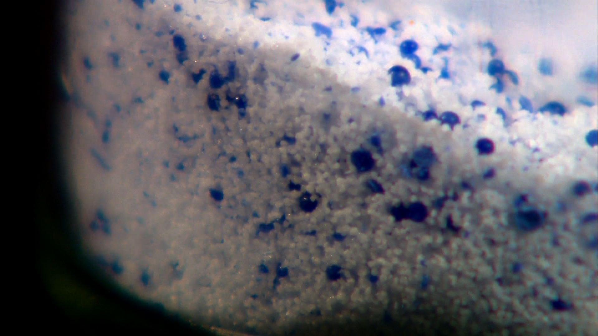 Plastic microbeads pile up into problems for the Great Lakes