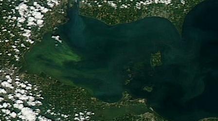 Video thumbnail: PBS NewsHour Nutrient pollution creates fertile ground for algae blooms
