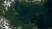Nutrient pollution creates fertile ground for algae blooms
