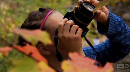Troubled teens find 'a New Light' with nature photography