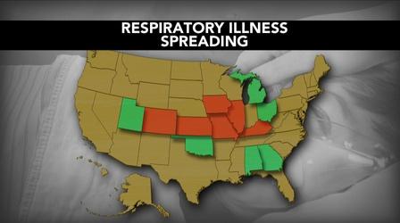 Video thumbnail: PBS NewsHour Rare respiratory virus hospitalizes hundreds of kids in U.S.