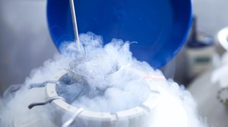 Video thumbnail: PBS NewsHour Debating the pros and cons of freezing eggs