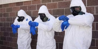 Dissecting the dangers of contracting Ebola