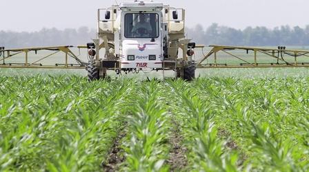 Video thumbnail: PBS NewsHour Increased immunity in weeds may threaten U.S. crops