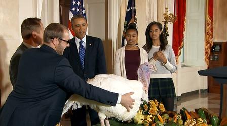 Video thumbnail: PBS NewsHour Who started the presidential turkey pardon?