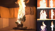 Sparking love for science by studying Christmas trees burn