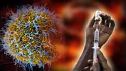 What’s next in the global response to Ebola?