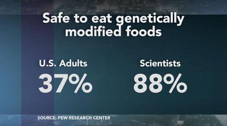 Video thumbnail: PBS NewsHour Poll: Scientists and public differ on what's 'dangerous'