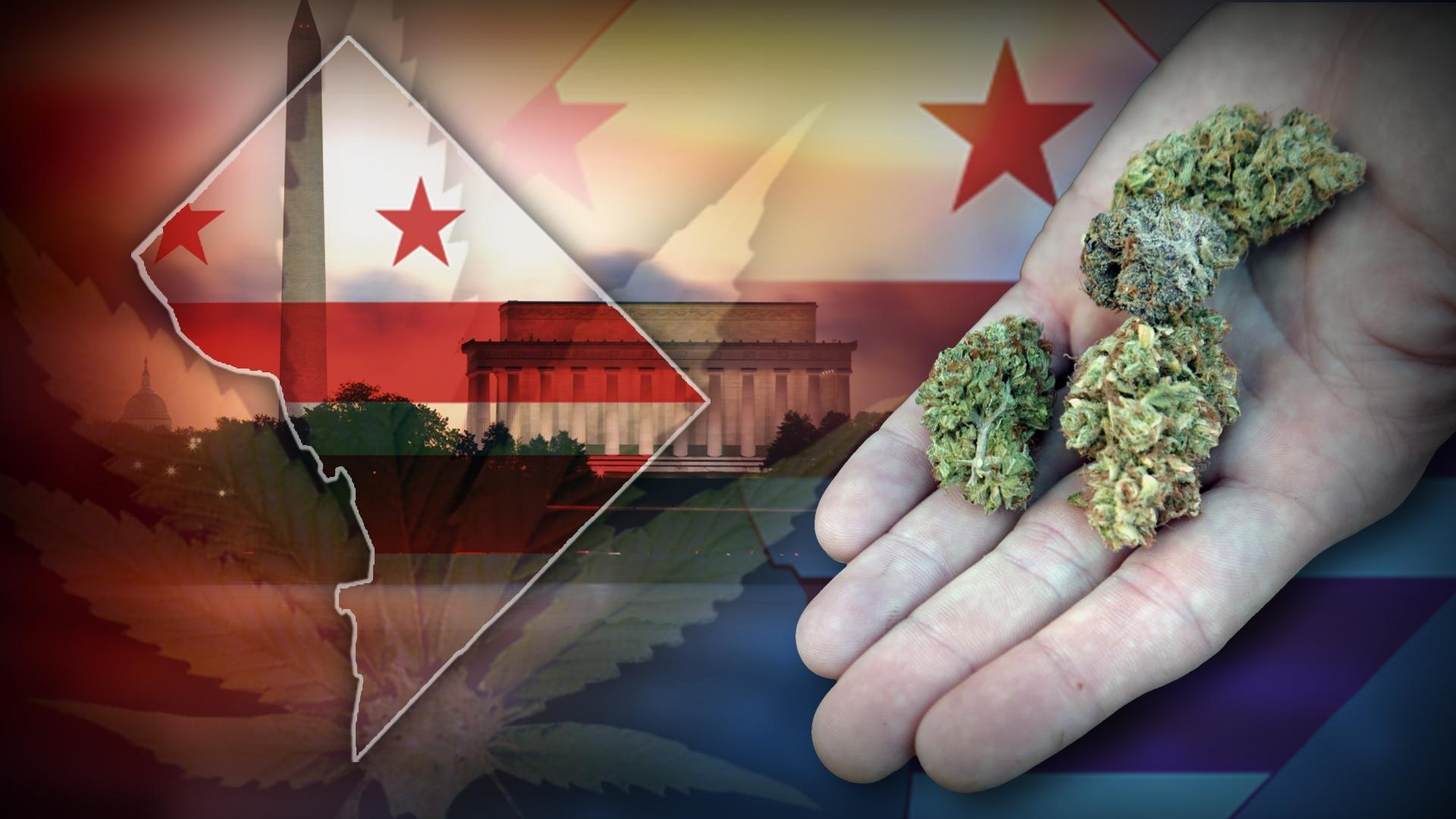 D.C. makes pot legal, with restrictions