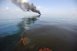 How the BP oil spill hurt Gulf wildlife and livelihoods