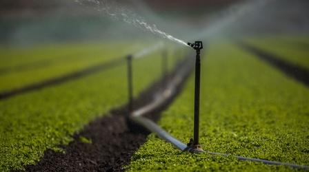 Video thumbnail: PBS NewsHour California farmers give up water to help fight drought