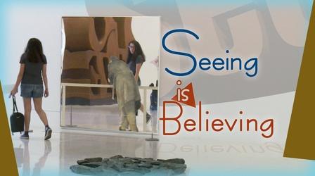 Video thumbnail: PBS NewsHour This museum gift shop sells art you can't hang on the wall