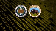 Cyber thieves breach ‘gold mine’ of federal employee data