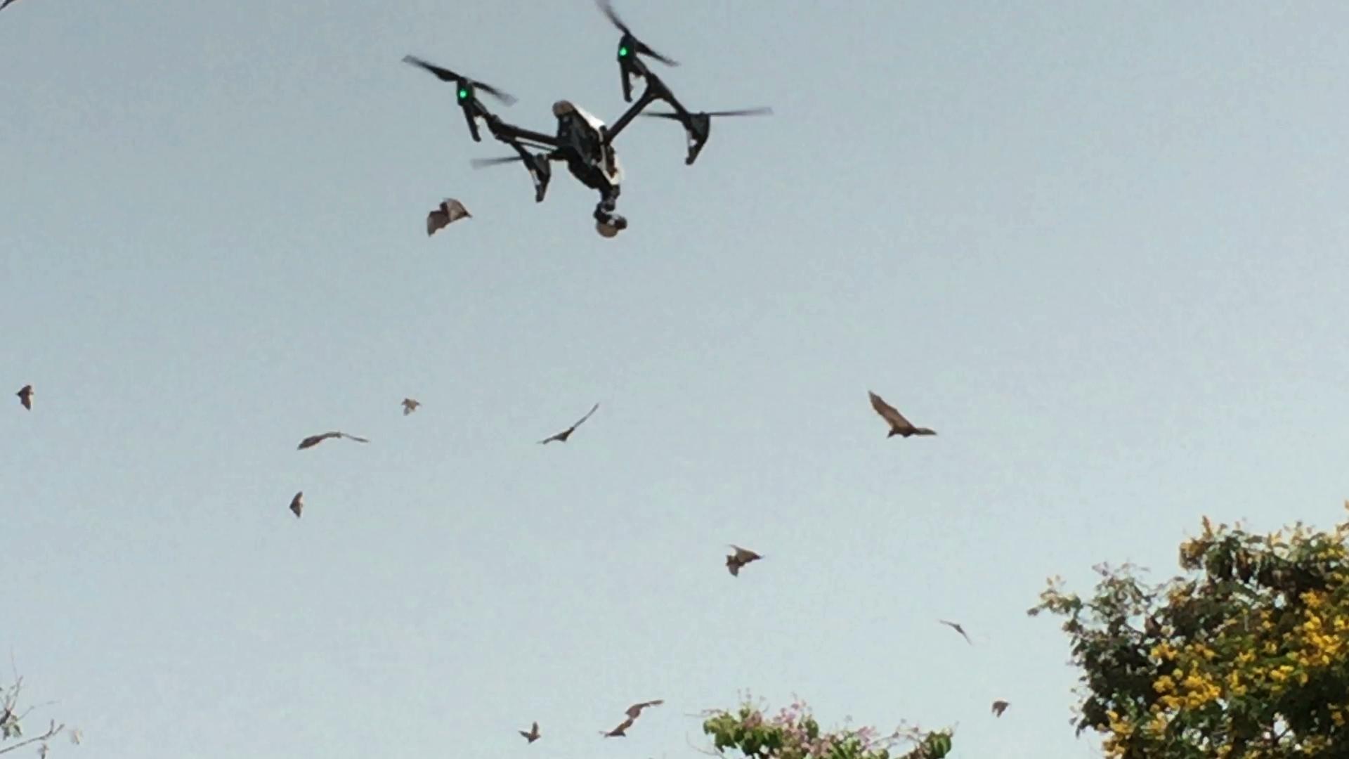 Flying a drone in a slum of Freetown, Sierra Leone
