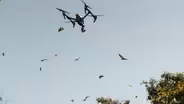 Flying a drone in a slum of Freetown, Sierra Leone