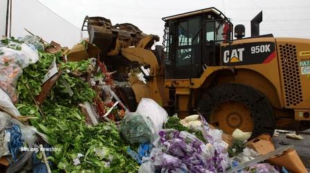Why does almost half of America’s food go to waste?