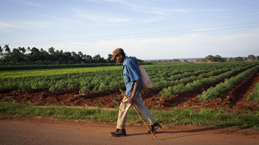 What Cuba can teach America about farming image