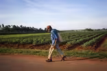 What Cuba can teach America about farming