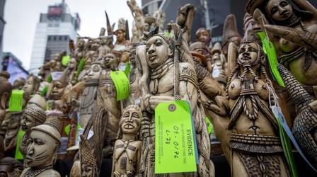 Video thumbnail: PBS NewsHour Elephant tusks crushed in NYC to protest ivory trade