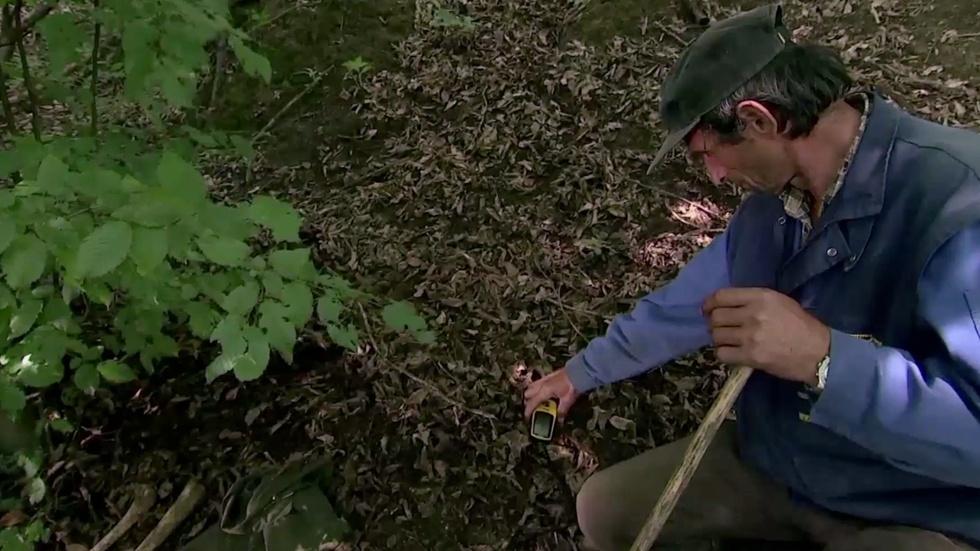 A grim search for Srebrenica massacre victims image