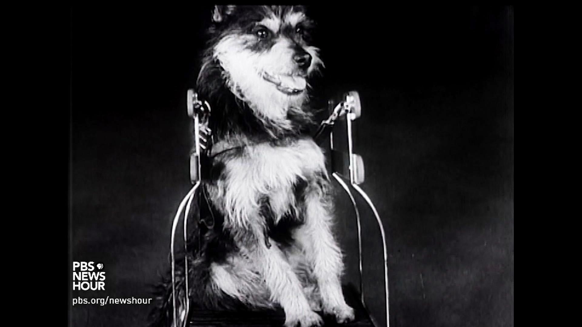You can now watch a century of historic newsreels on YouTube