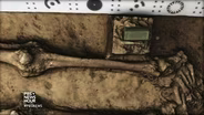 A Catholic enigma found in a grave at Jamestown