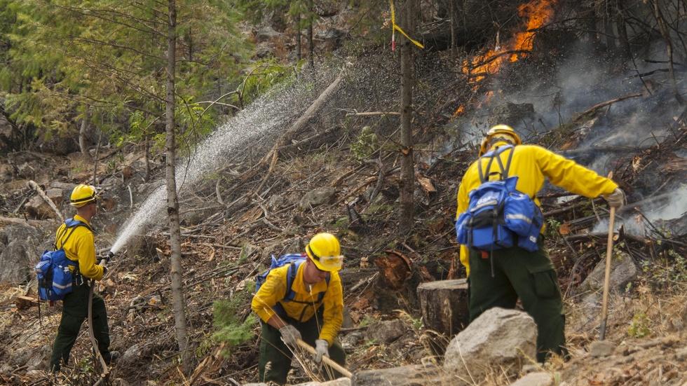 Why U.S. is asking Canada, Australia for firefighting help image
