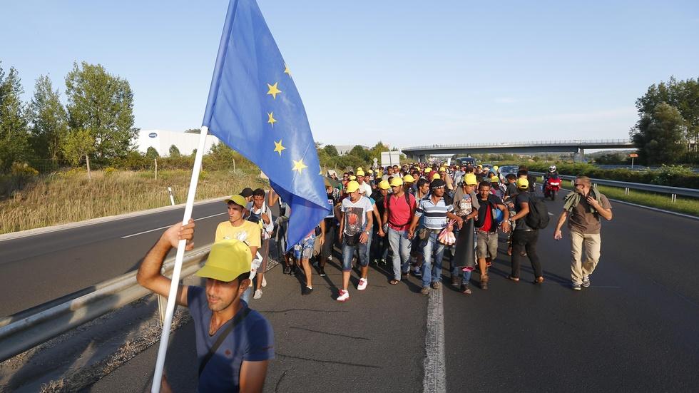 Neighbors Sweden and Denmark split over taking refugees image