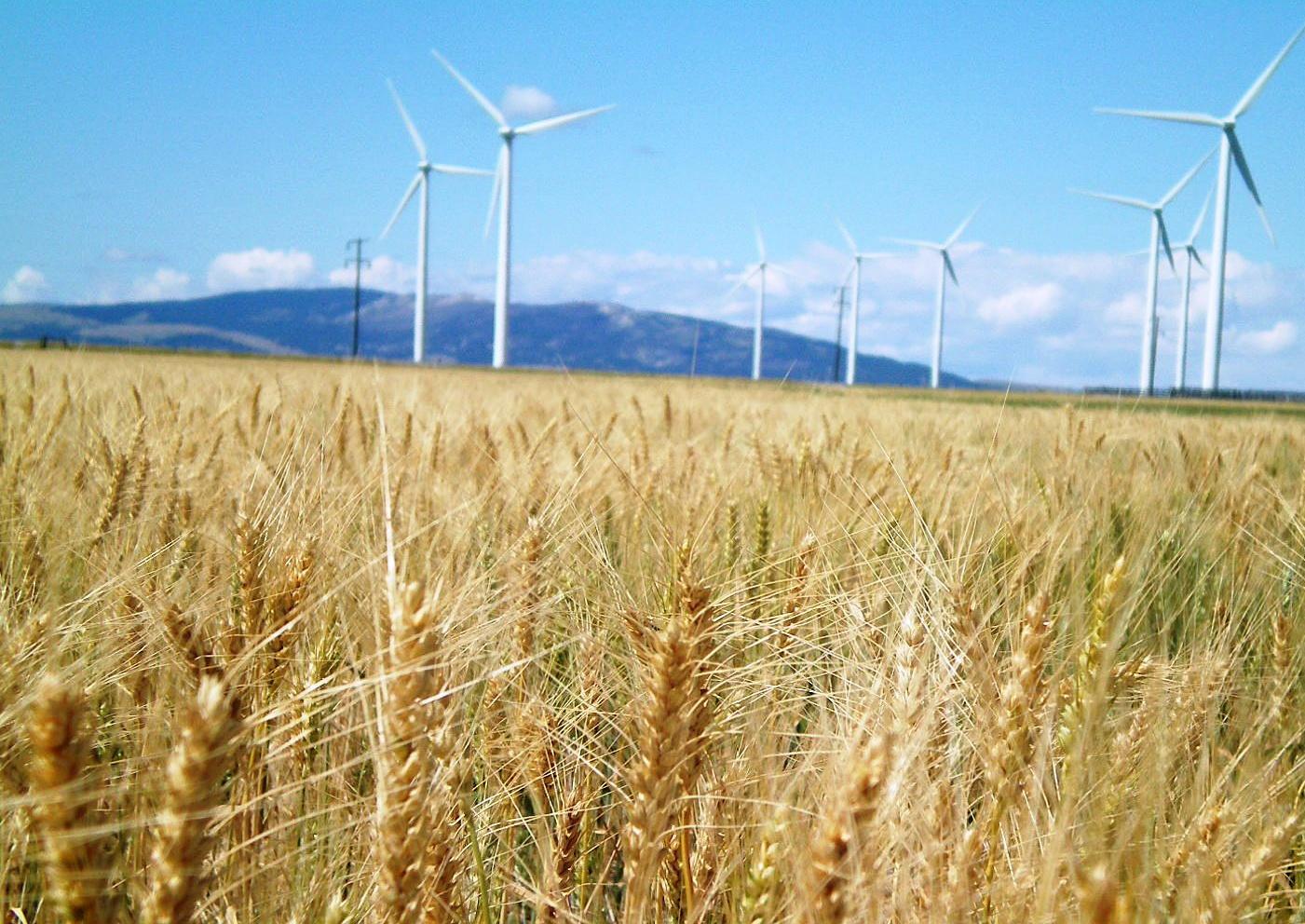 Can Denmark make energy demand follow renewable supply?