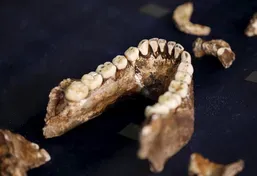 Long-lost human ancestor is greatest find in decades