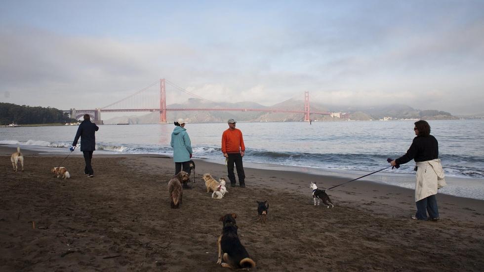 Fight over leashing dogs is no walk in the national park image